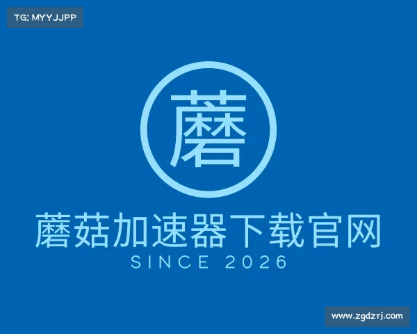 介绍蘑菇加速器下载官网